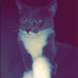 Meet your Posher, Kamryn